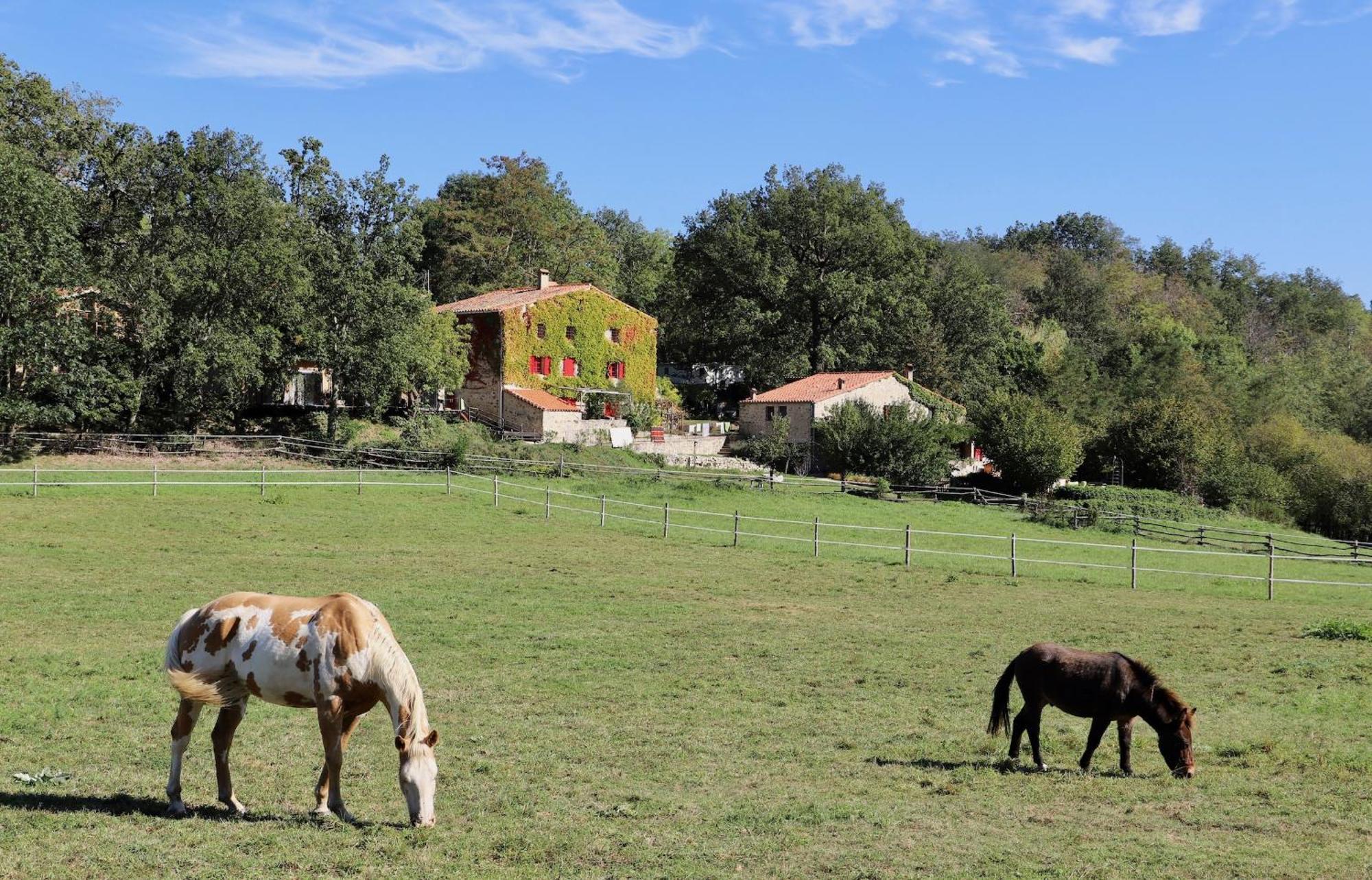 Mas Lo Faix Bed and Breakfast Saint-Laurent-de-Cerdans Exterior foto