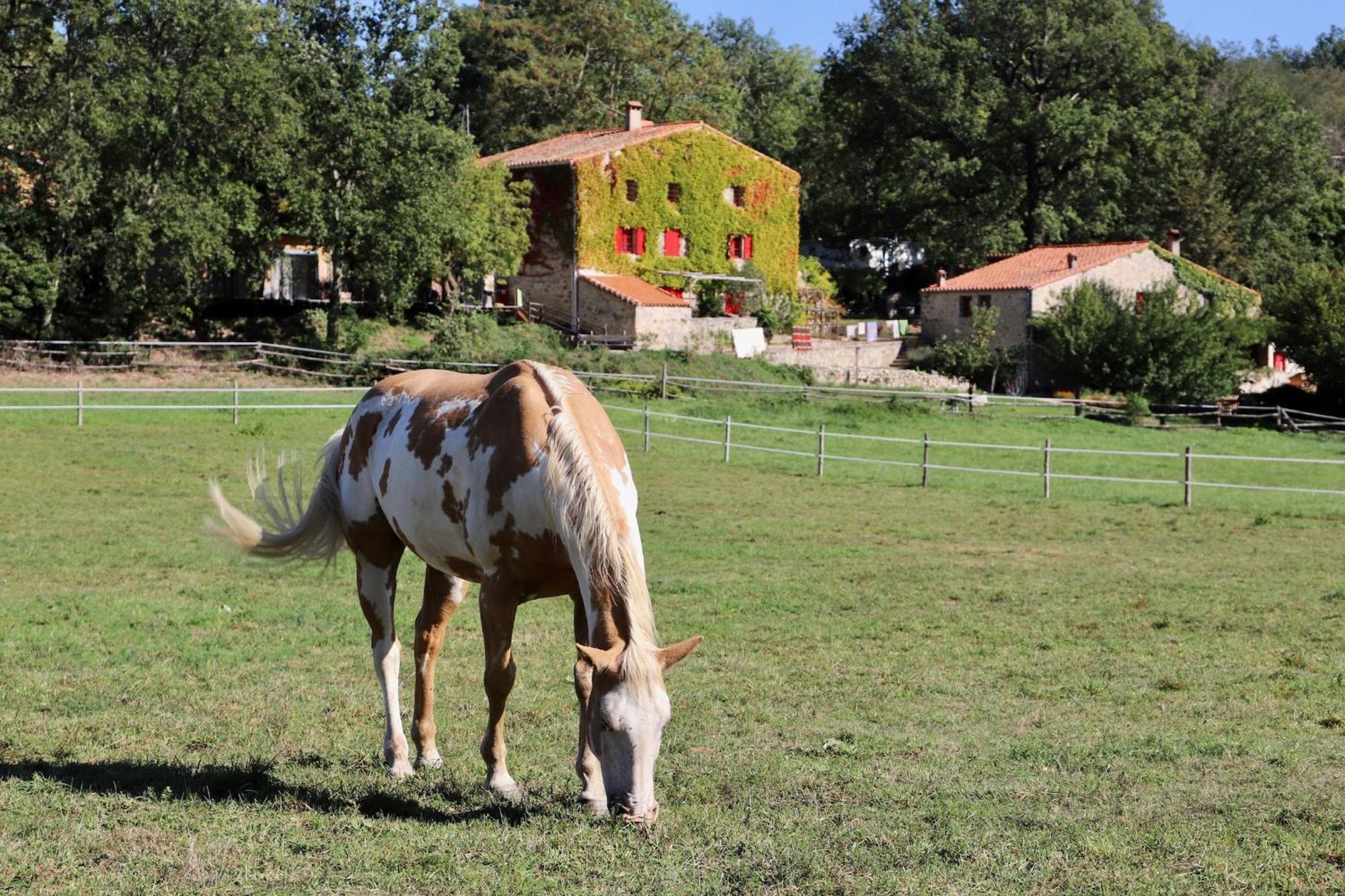 Mas Lo Faix Bed and Breakfast Saint-Laurent-de-Cerdans Exterior foto